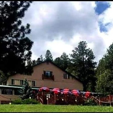 Edelweiss Resort Greer Kültér fotó